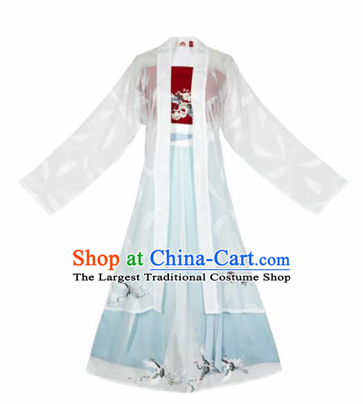 Chinese Traditional Young Lady Embroidered Hanfu Dress Song Dynasty Historical Costume for Women