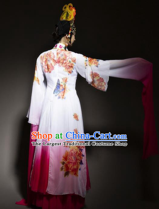 Chinese Traditional Dance White Dress Classical Dance Water Sleeve Beijing Opera Costume for Women