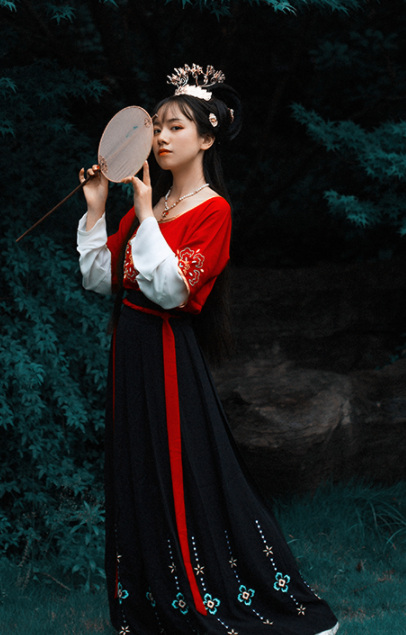 Chinese Traditional Classical Dance Hanfu Dress Ancient Tang Dynasty Court Lady Embroidered Historical Costume for Women