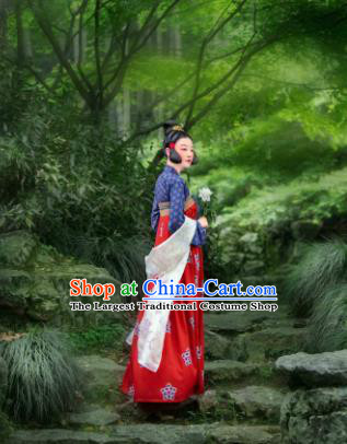 Chinese Traditional Tang Dynasty Court Lady Hanfu Dress Ancient Las Meninas Replica Costumes for Women