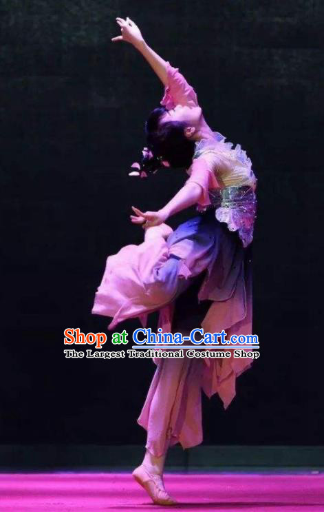 Traditional Chinese Classical Dance Ai Lian Shuo Costume Lotus Dance Dress for Women