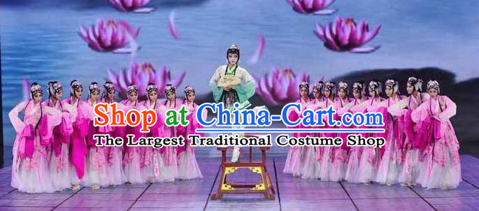 Traditional Chinese Classical Dance Fen Mo Costume Beijing Opera Beautiful Dance Pink Dress for Women