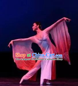 Traditional Chinese Classical Dance Liang Zhu Costume Butterfly Lovers Stage Show Beautiful Dance Dress for Women