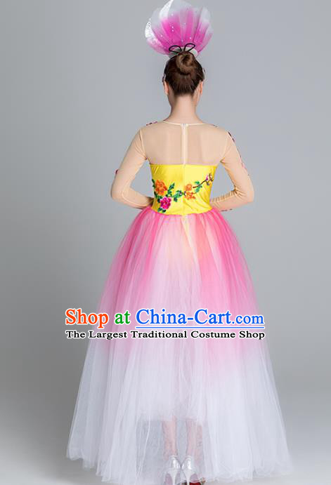 Traditional Chinese Classical Dance Chorus Pink Dress Stage Show Opening Dance Costume for Women