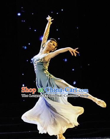 Traditional Chinese Classical Dance Que Qiao Xian Costume Ballet Stage Show Beautiful Dance Dress for Women