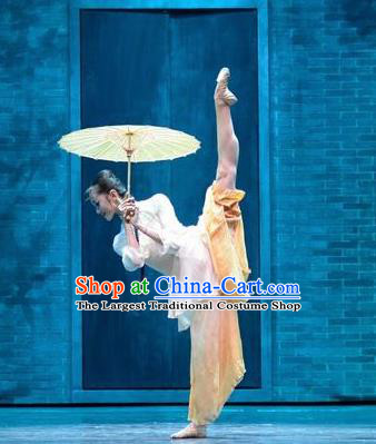 Traditional Chinese Classical Dance Ballet Competition Sha Wan Wang Shi Costume Stage Show Beautiful Dance Dress for Women