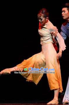 Traditional Chinese Classical Dance Ballet Competition Sha Wan Wang Shi Costume Stage Show Beautiful Dance Dress for Women