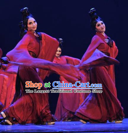 Chinese Beautiful Dance Xiang Ji Wu Costume Traditional Water Sleeve Dance Classical Dance Competition Dress for Women