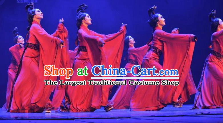 Chinese Beautiful Dance Xiang Ji Wu Costume Traditional Water Sleeve Dance Classical Dance Competition Dress for Women