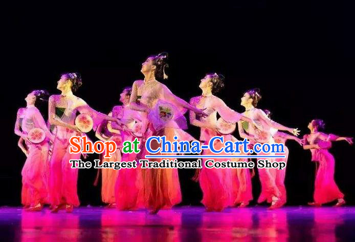 Chinese Beautiful Dance Xiu Ying Die Xiang Costume Traditional Fan Dance Classical Dance Competition Dress for Women