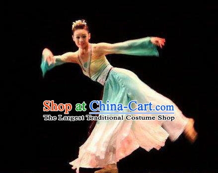 Beautiful Chinese Dance Pear Flower Dance Costume Traditional Classical Dance Dress for Women