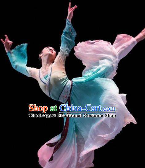 Beautiful Chinese Dance Pear Flower Dance Costume Traditional Classical Dance Dress for Women