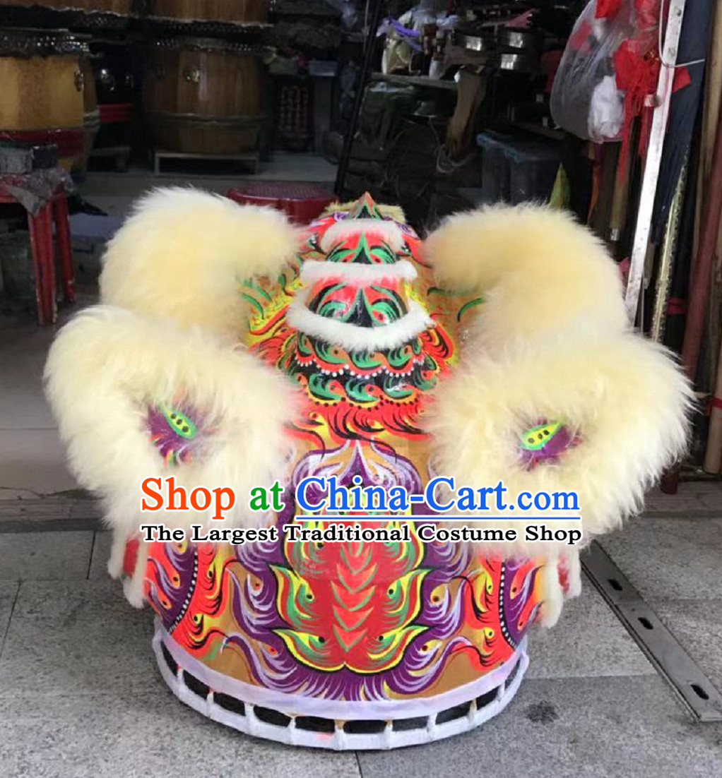 lion dance costume