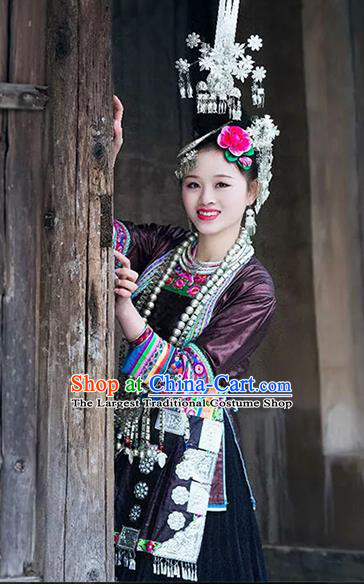 Chinese Traditional Miao Nationality Embroidered Costume Ethnic Folk Dance Brown Dress for Women