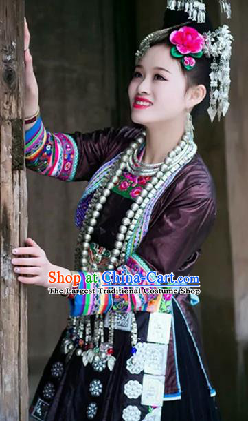 Chinese Traditional Miao Nationality Embroidered Costume Ethnic Folk Dance Brown Dress for Women