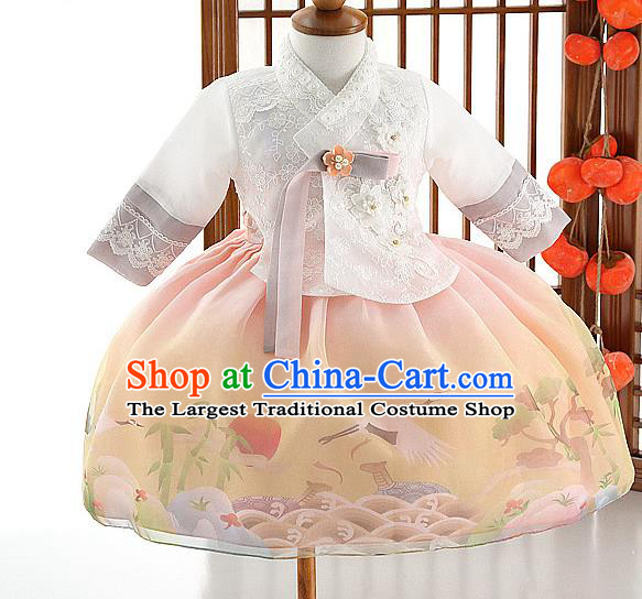 Asian Korea Girls White Lace Blouse and Printing Dress Korean Kids Fashion Traditional Hanbok Apparels Birthday Costumes