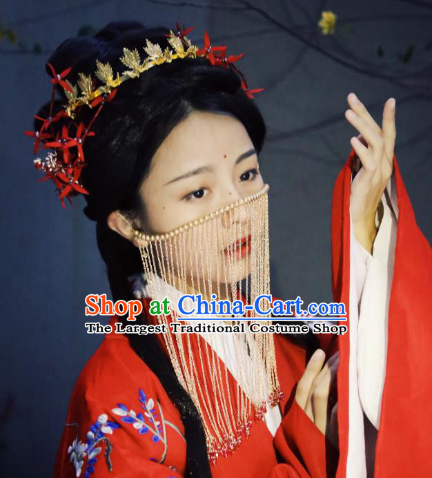 Modern Interpretations of the Ming Dynasty Hanfu