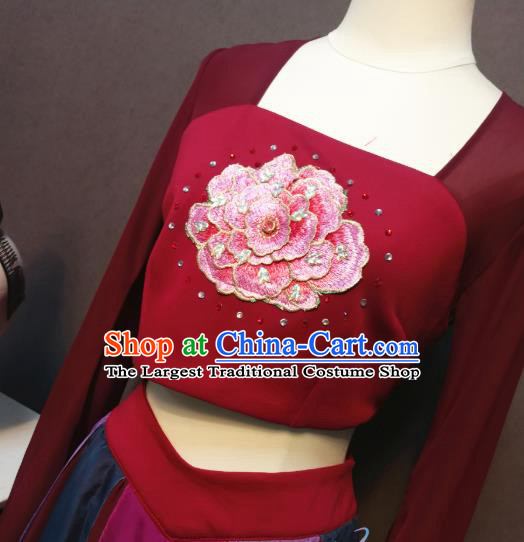 China Spring Festival Gala Wine Red Blouse and Skirt Outfits Women Flying Dance Dress Classical Dance Costumes and Headwear