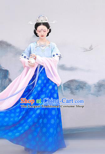 Chinese Tang Dynasty Princess Costumes Traditional Classical Dance Hanfu Dress Ancient Palace Lady Embroidered Top Blouse and Skirt Outfits