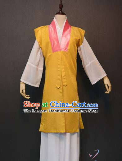 Traditional China Ming Dynasty Maidservant Costume Ancient Drama The Dream of Red Mansions Beauty Qing Wen Clothing