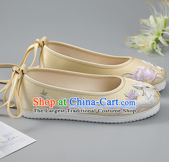 China Light Yellow Embroidered Shoes Princess Shoes Traditional Hanfu Shoes Handmade Cloth Shoes Ancient Shoes