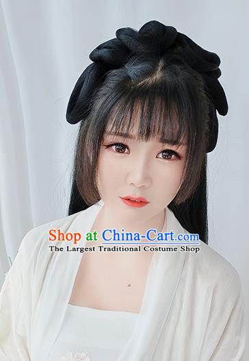 Chinese Song Dynasty Princess Wigs Best Quality Wigs China Cosplay Wig Chignon Ancient Noble Lady Wig Sheath