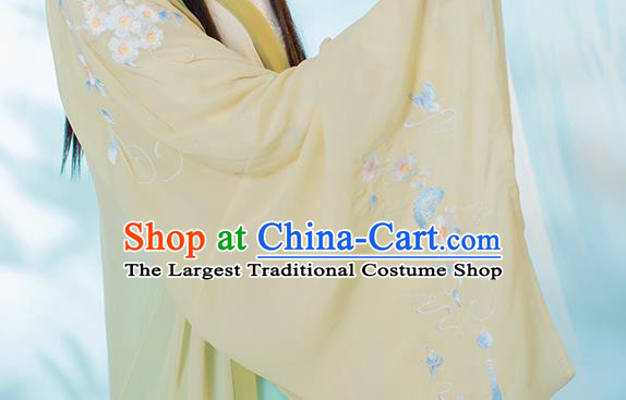 Traditional China Ancient Royal Infanta Hanfu Clothing Tang Dynasty Noble Lady Historical Costumes