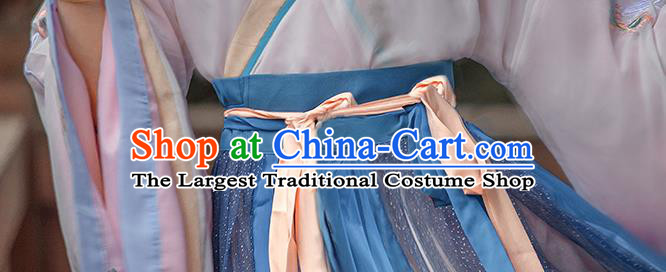 China Ancient Noble Lady Dress Traditional Jin Dynasty Court Princess Historical Costumes Hanfu Apparels