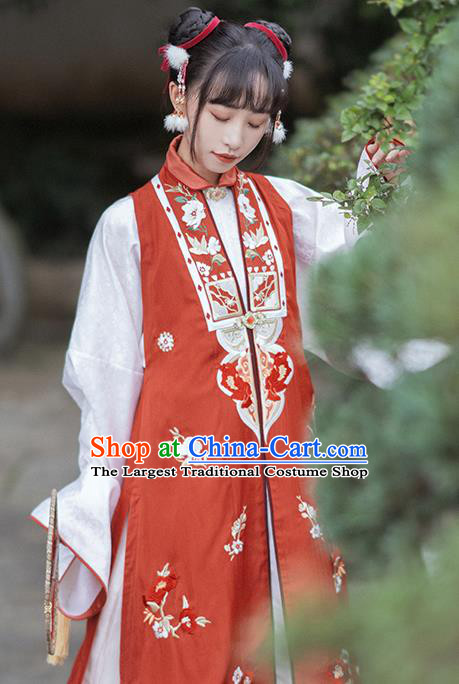 Ancient China Young Beauty Costumes Traditional Ming Dynasty Courtesan Du Liniang Hanfu Dress Apparels