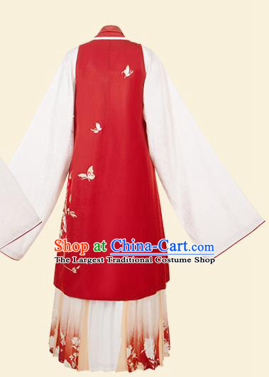 Ancient China Young Beauty Costumes Traditional Ming Dynasty Courtesan Du Liniang Hanfu Dress Apparels