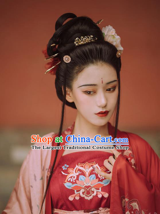 Chinese Traditional Ancient Imperial Consort Hanfu Apparels Red Cape and Dress Tang Dynasty Court Historical Costumes for Women