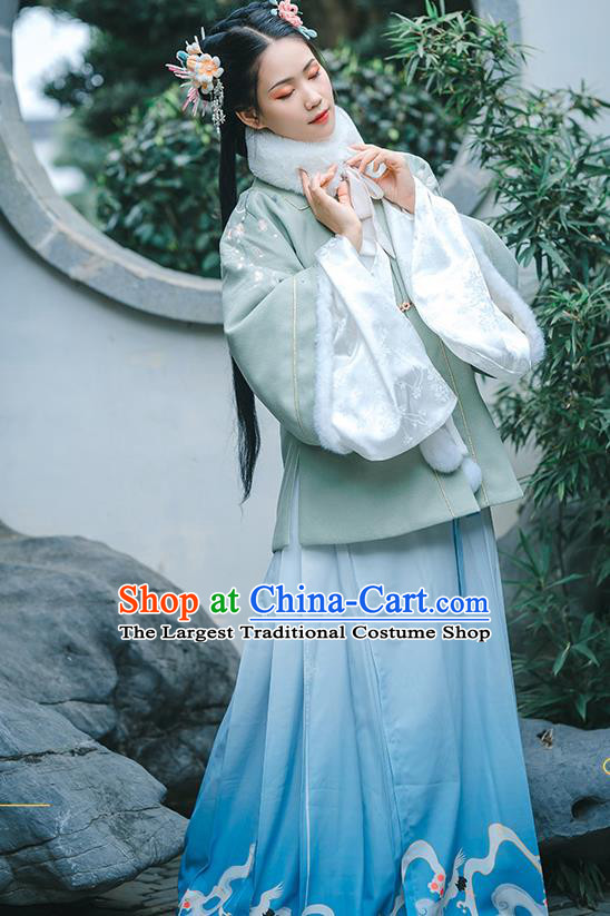 China Ancient Noble Female Hanfu Dress Traditional Ming Dynasty Young Lady Clothing Complete Set