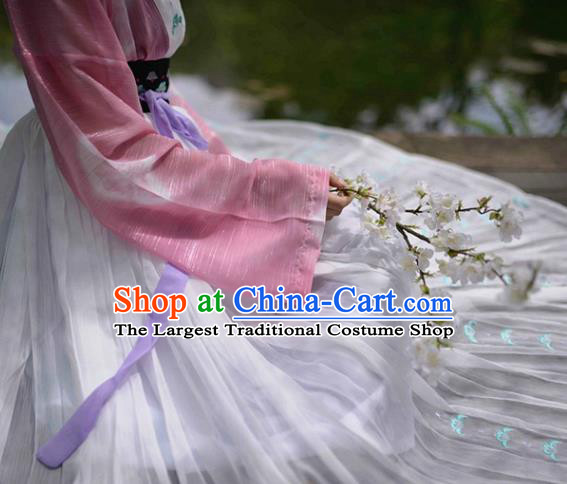 China Ancient Country Girl Historical Clothing Traditional Tang Dynasty Young Lady Hanfu Dress Garment