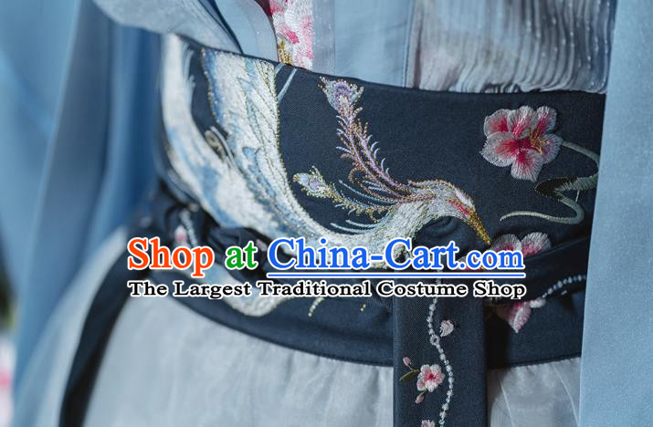 China Ancient Palace Princess Embroidered Clothing Traditional Blue Hanfu Dress Tang Dynasty Court Lady Costumes