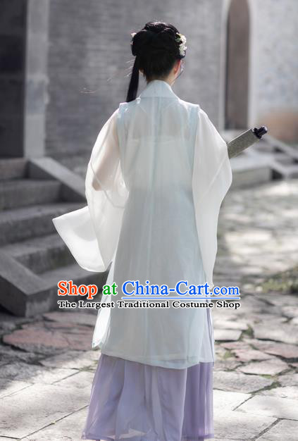 China Ancient Ming Dynasty Young Lady Historical Clothing Traditional Hanfu Dress for Women