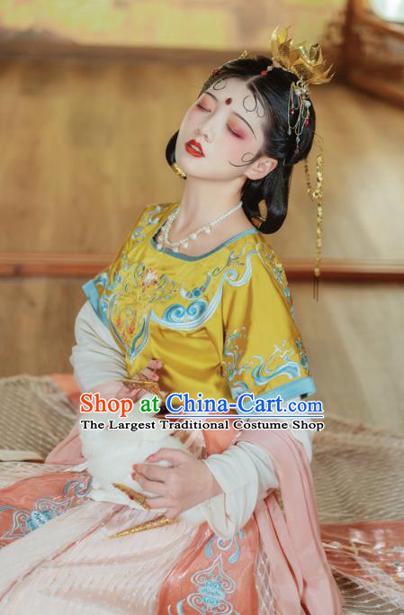 Traditional China Tang Dynasty Court Lady Dance Clothing Ancient Palace Princess Embroidered Hanfu Dress