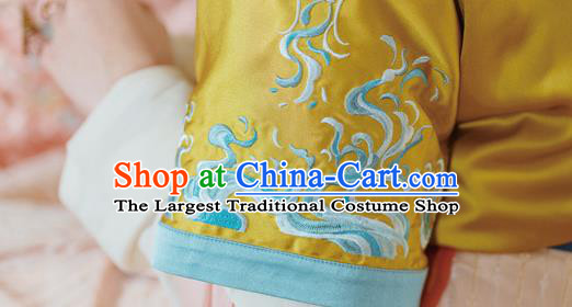 Traditional China Tang Dynasty Court Lady Dance Clothing Ancient Palace Princess Embroidered Hanfu Dress