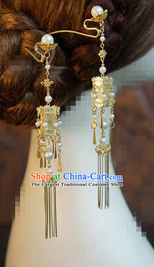 China Ancient Princess Tassel Step Shake Hair Sticks Traditional Xiuhe Suit Hair Jewelry Accessories Court Palace Lantern Hairpin