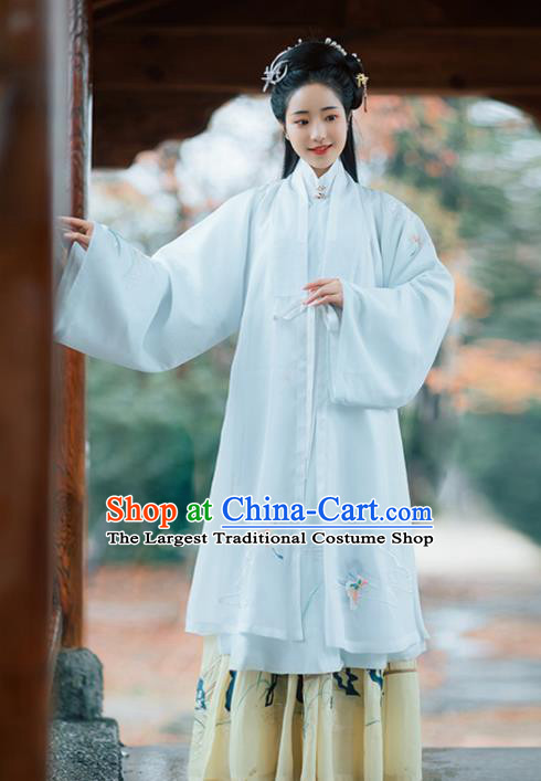 Chinese Ancient Nobility Coquette Hanfu Dress Traditional Ming Dynasty Noblewoman Embroidered Costumes for Women