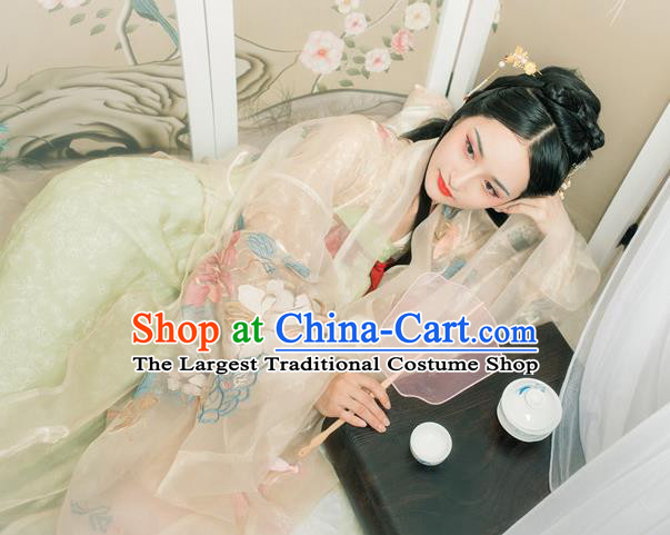 Chinese Ancient Patrician Infanta Embroidered Cloak and Dress Traditional Tang Dynasty Royal Princess Costumes for Women