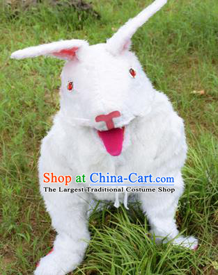 Cosplay Zodiac Rabbit Traditional Chinese New Year Stage Performance Costume Complete Set