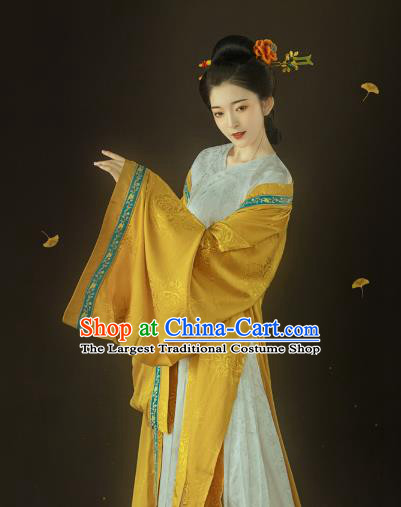 Chinese Ancient Patrician Lady Hanfu Dress Traditional Song Dynasty Court Princess Costumes for Women
