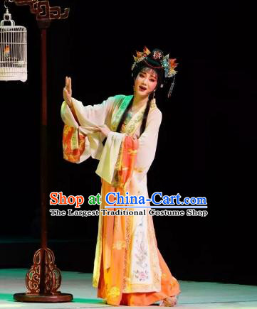 Chinese Peking Opera Dan Costumes Double Pearl Phoenix Rich Lady Hua Dingjin Apparel Garment and Headpieces