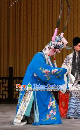 Chinese Peking Opera Garment the Fourth Son Visits His Mother Apparel Costumes Young Men Embroidered Robe and Hat