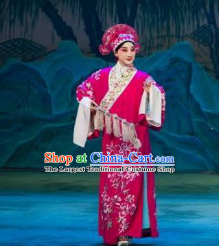 Chinese Beijing Opera Rosy Garment Butterfly Fairy Tale Apparels Xiaosheng Costumes Young Men Niche Robe and Hat