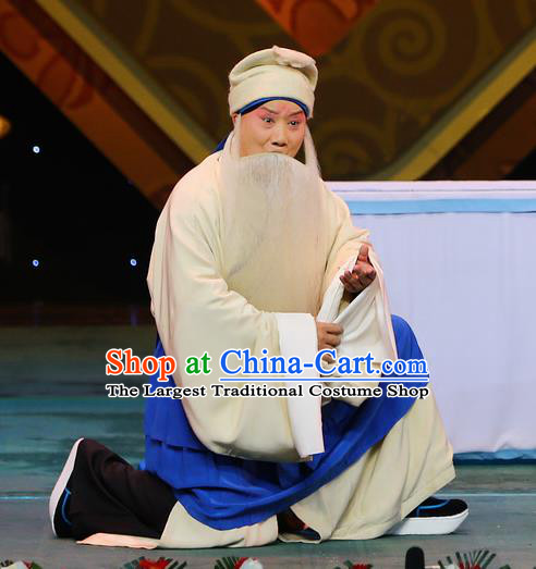 Chinese Beijing Opera Elderly Male Costumes Garment Peking Opera San Niang Jiao Zi Laosheng Apparels and Headpiece