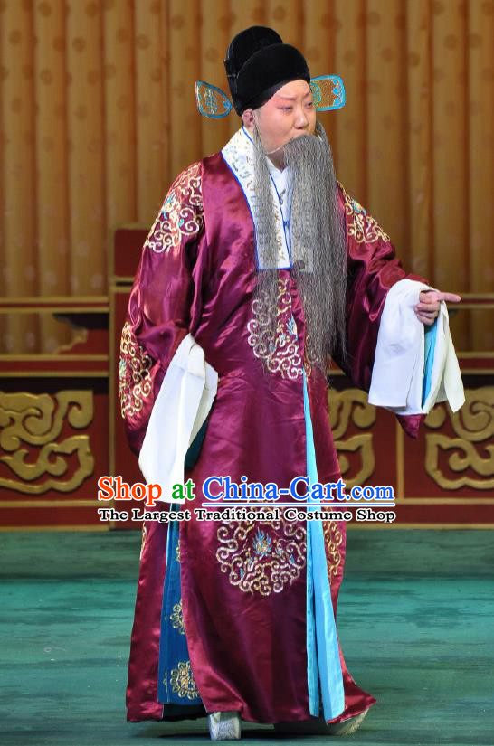 Chinese Beijing Opera Landlord Costumes Garment Peking Opera Return of the Phoenix Apparels Elderly Male Robe and Hat
