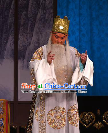 Chinese Beijing Opera Chancellor Garment Peking Opera Judge Bao and the Qin Xianglian Case Apparels Elderly Male Han Qi Costumes and Headwear