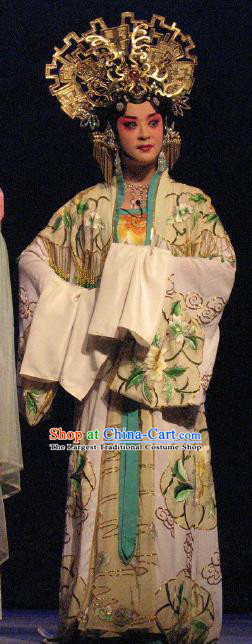 Chinese Beijing Opera Hua Tan Costumes Apparels Garment Peking Opera The Legend and Hero Su Daji Dress and Headdress