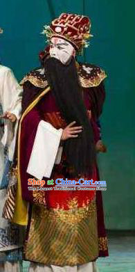 Chinese Historical Beijing Opera Old Men Costumes Cao Cao And Yang Xiu Apparels Elderly Male Garment and Hat